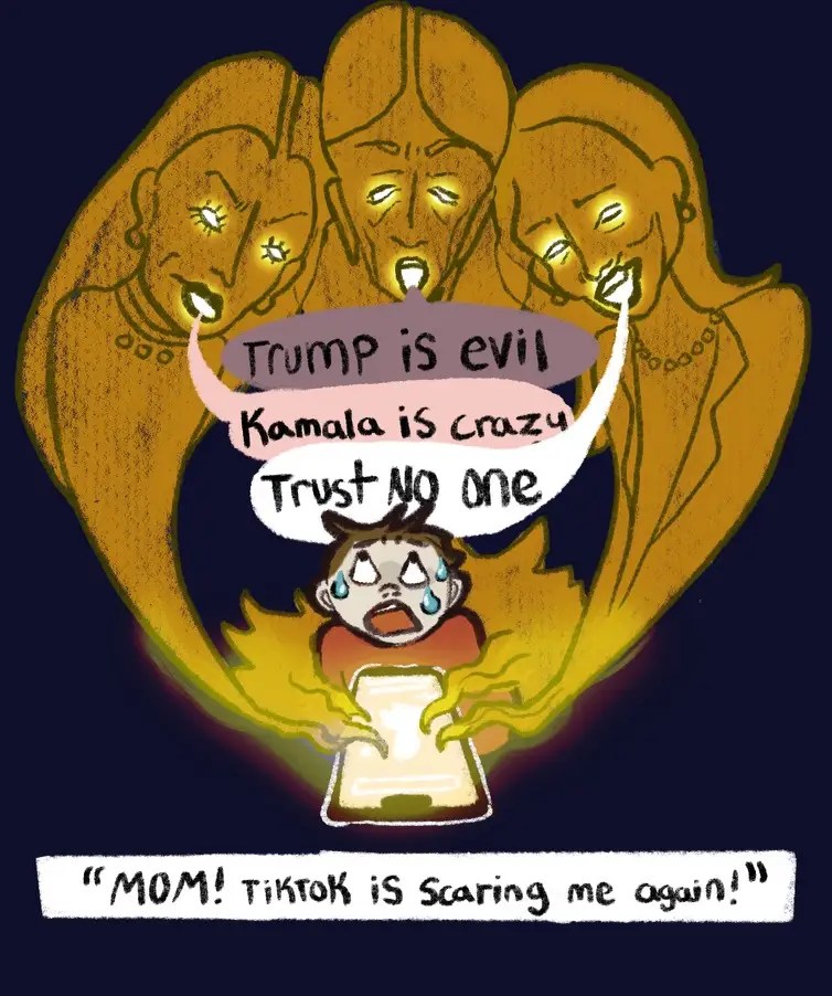 A new form of news: social media and the 2024&nbsp;election