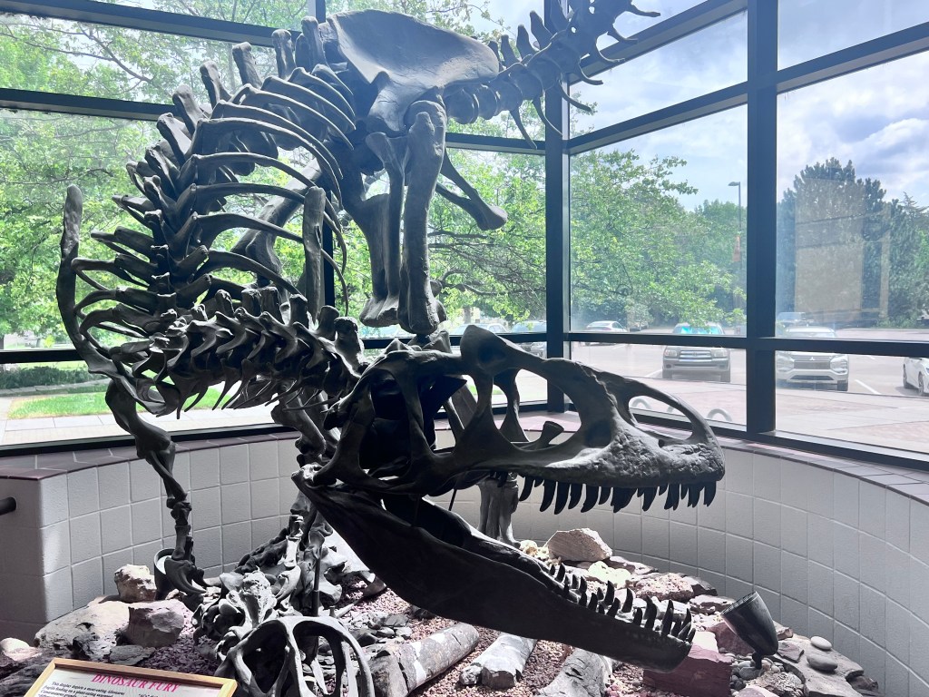 Review: “Jurassic World Rebirth” is an extinction-level mess of a&nbsp;film