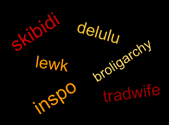 Cambridge Dictionary’s Latest Entries Take the Internet by&nbsp;Storm