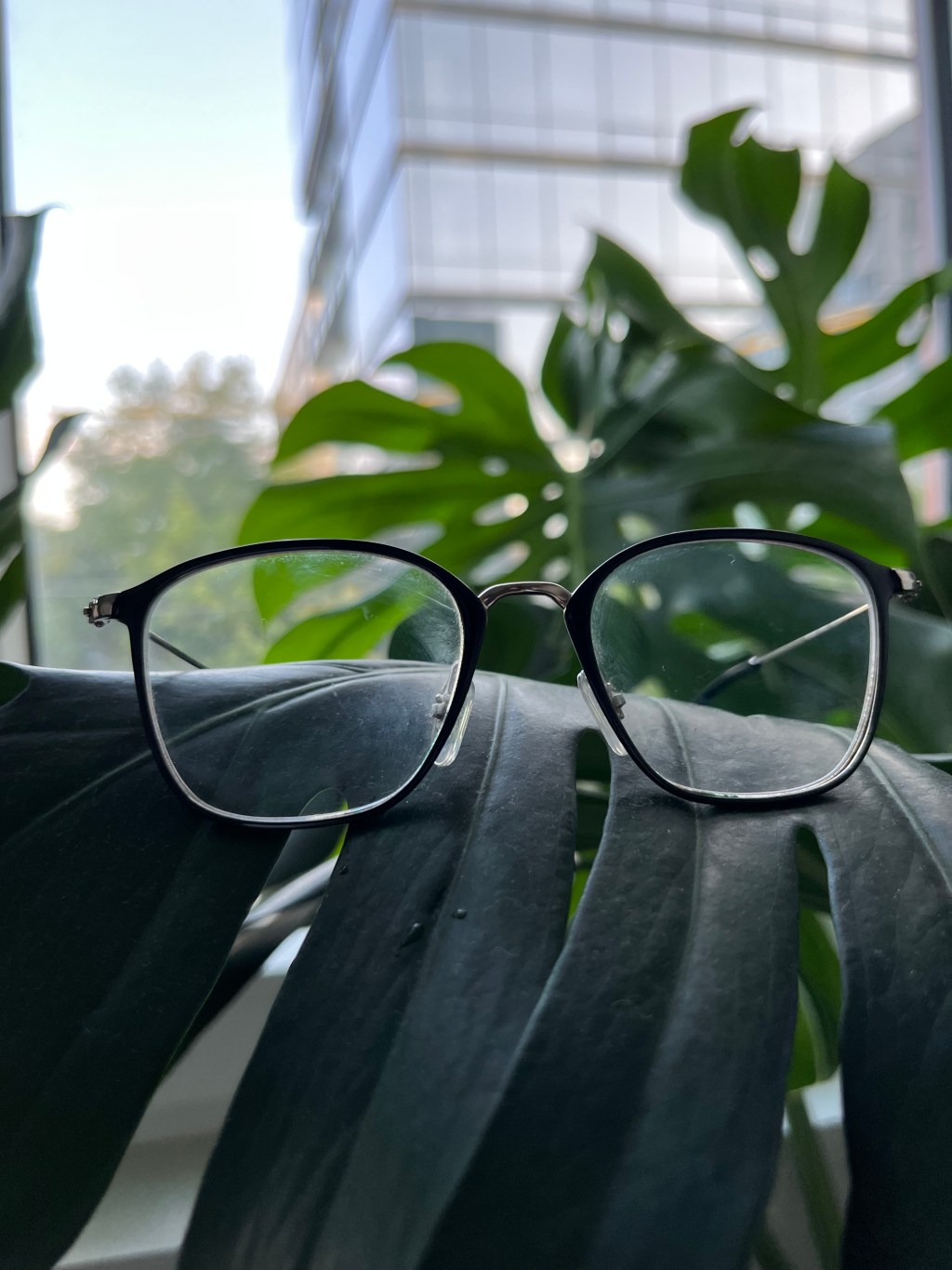 The pandemic that triggered the epidemic of myopia: Why declining eyesight is CPS’ biggest student health&nbsp;problem